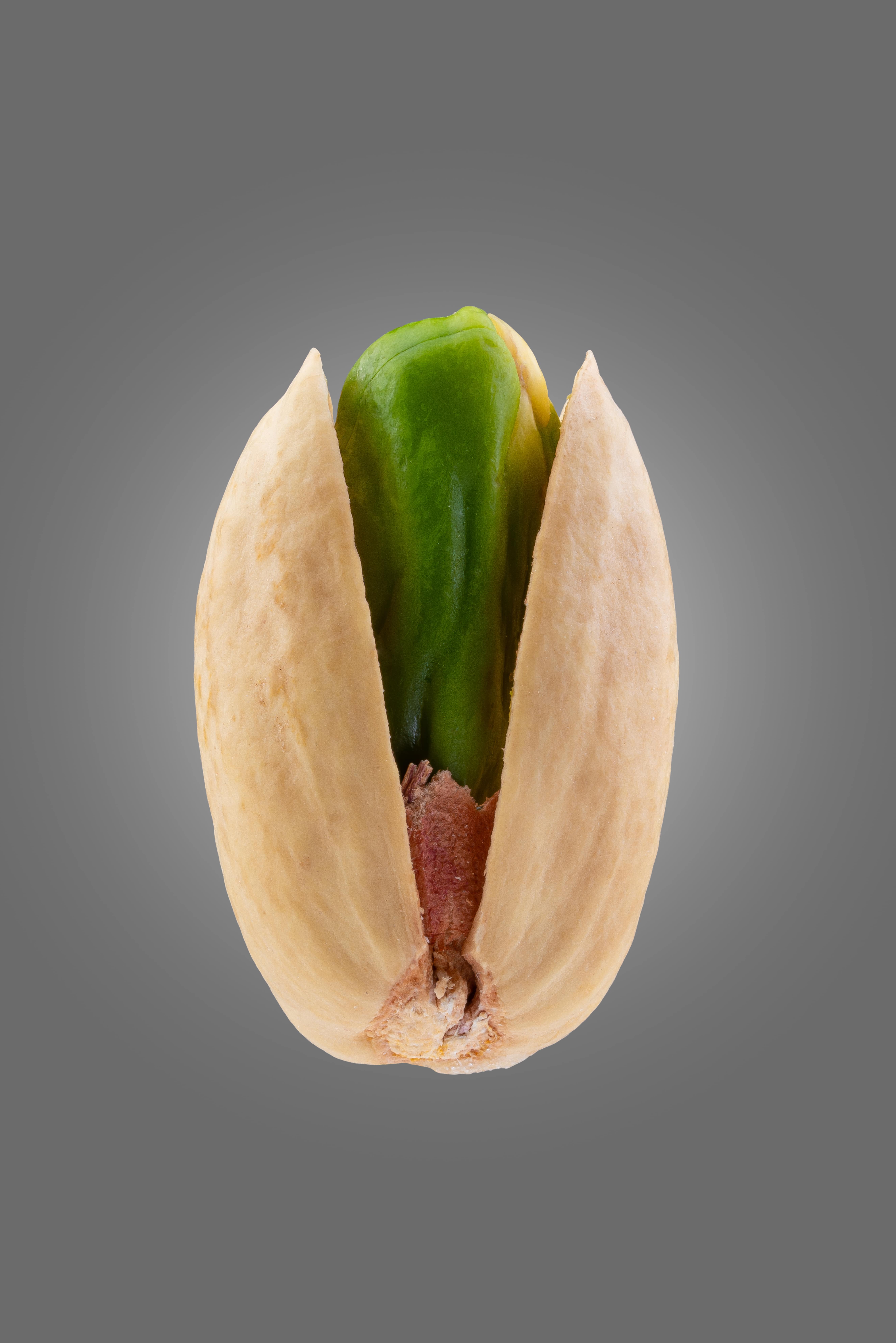 ۷ پیش‌بینی مهم درباره میزان برداشت جهانی پسته در سال ۲۰۲۵ (+ جدول تولیدکنندگان اصلی)